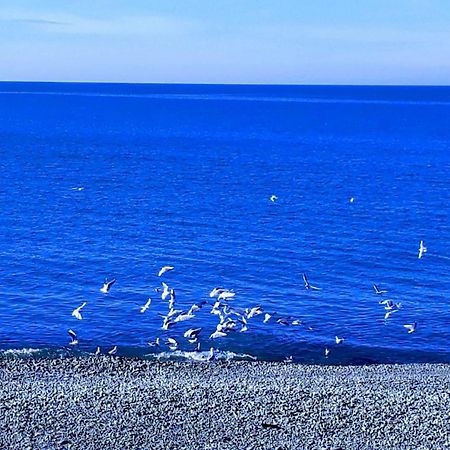 Bondo'S Cottage Kobuleti Dış mekan fotoğraf