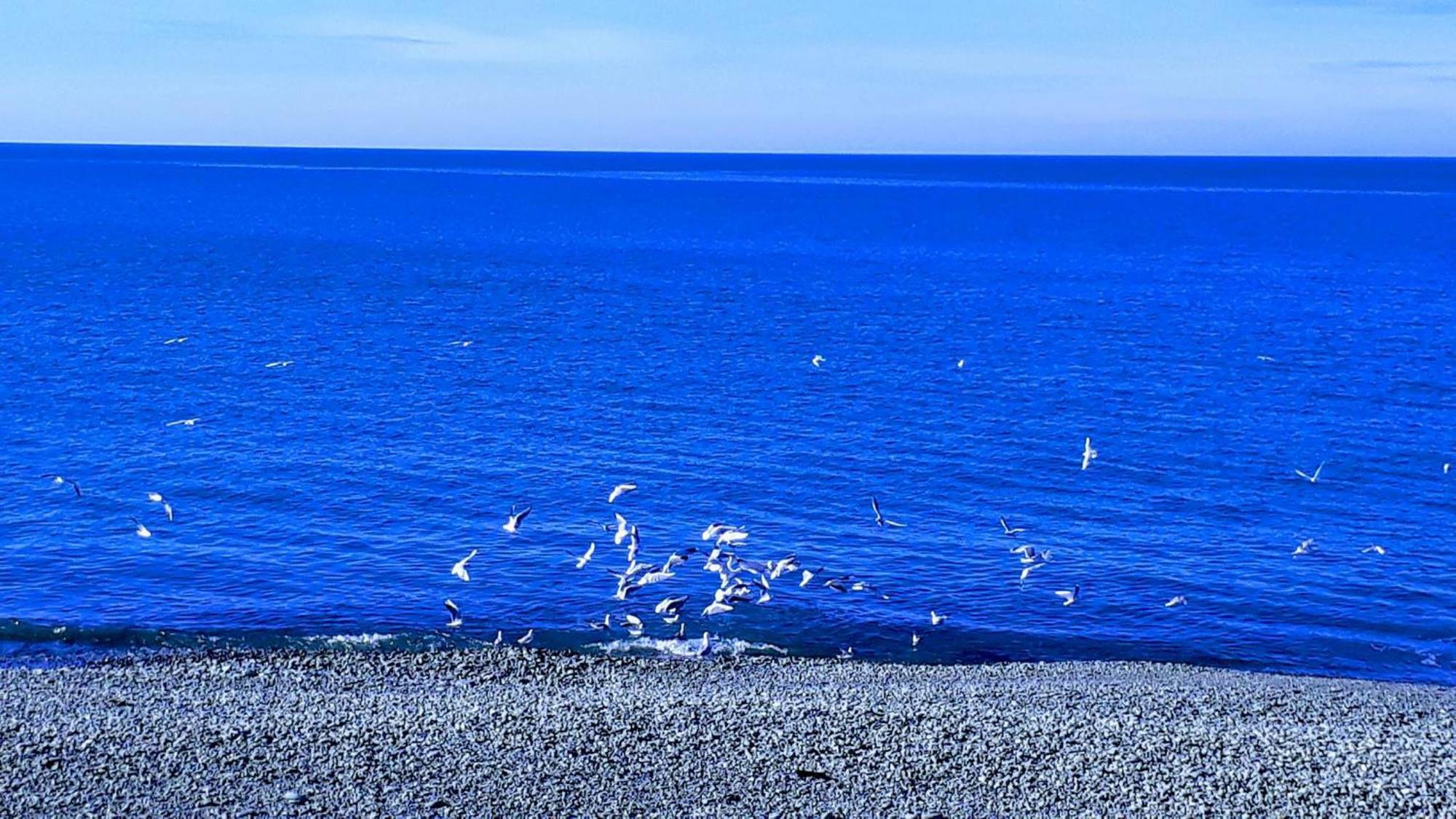 Bondo'S Cottage Kobuleti Dış mekan fotoğraf